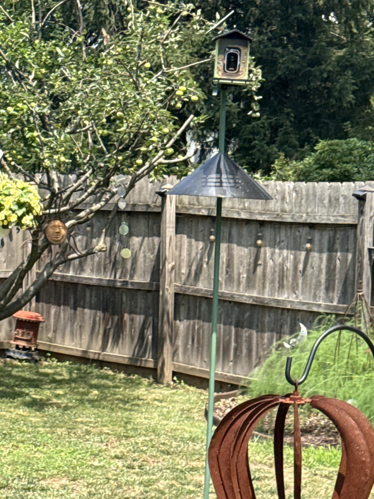 Squirrel Baffle for Bird Feeder Pole, Outside Pole Mount Bird House Guard for Outdoor Shepherd's Hook, 19 Inch Diameter, 1 Pack customer photo 1