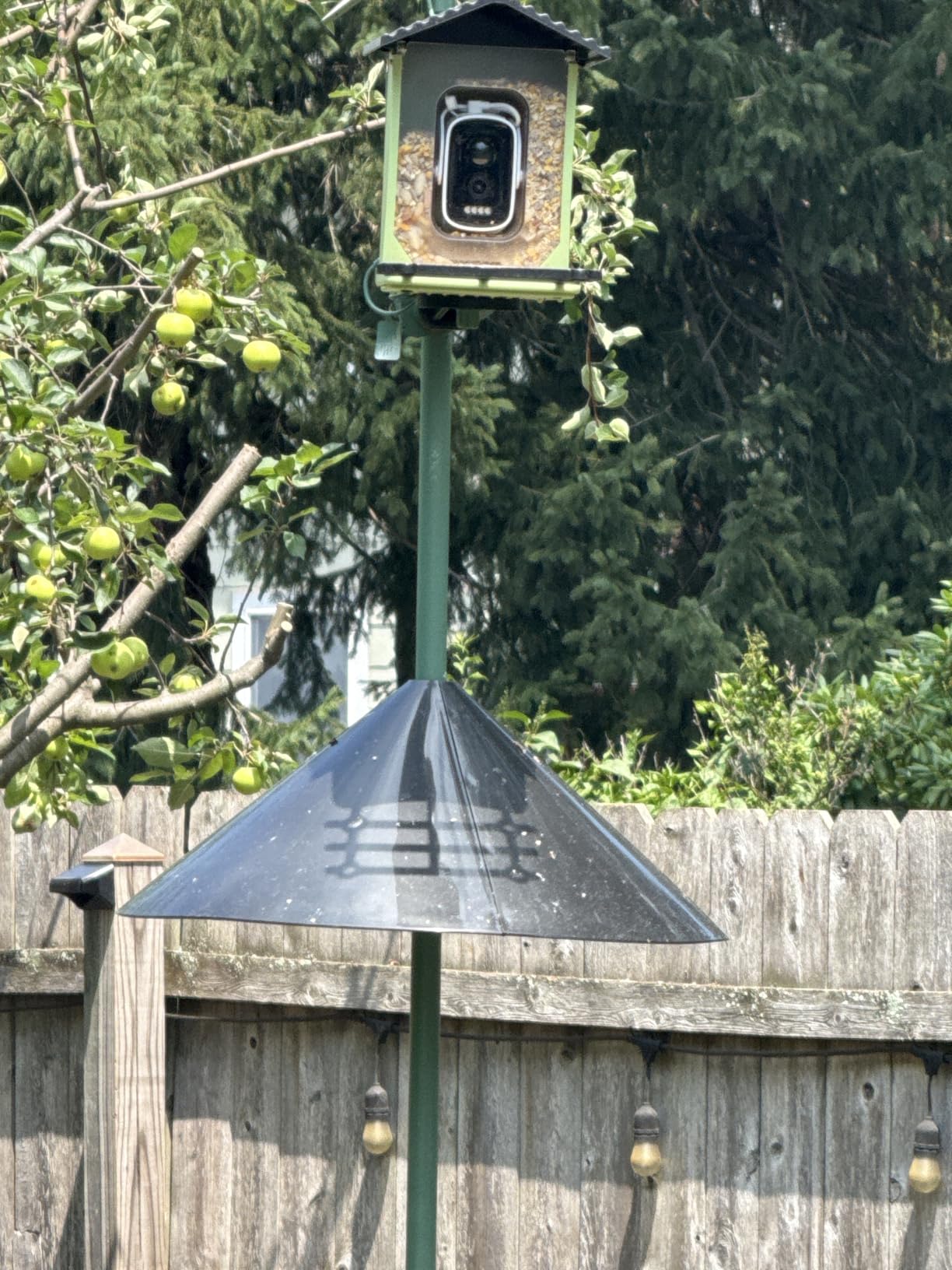 Squirrel Baffle for Bird Feeder Pole, Outside Pole Mount Bird House Guard for Outdoor Shepherd's Hook, 19 Inch Diameter, 1 Pack customer photo 2