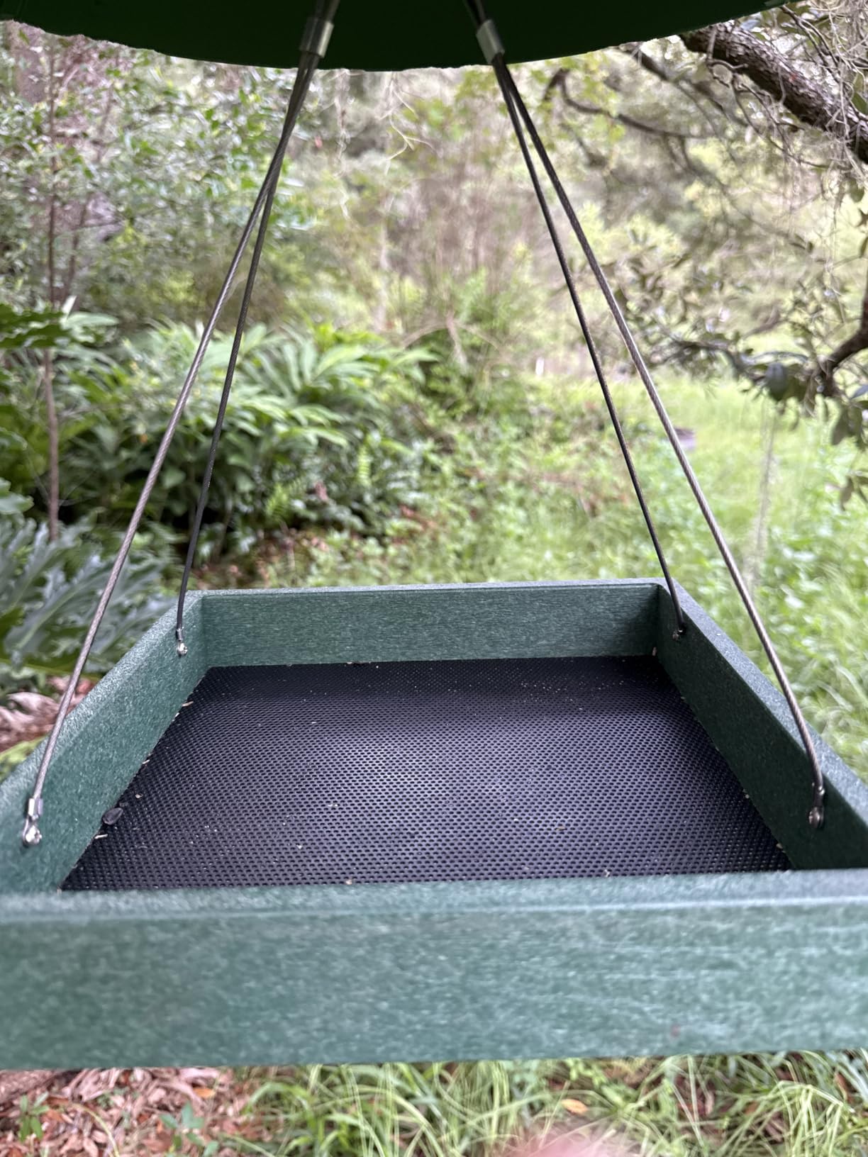 Kingsyard Platform Bird Feeder for Outdoors, Hanging Feeding Tray | Recycled Poly Lumber, Weatherproof, 11x11 Tray, Holds up to 3 lbs Seeds or Mealworms, Easy Clean & Refill, Brown customer photo 2