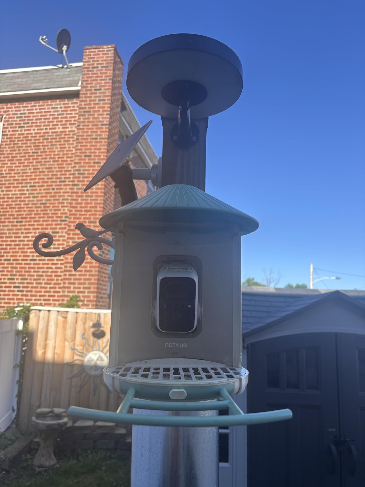 NETVUE by Birdfy Smart Bird Feeder with Camera - AI Identifies Birds Species 2MP Night Vision & App Alerts, 2.4Ghz Wi-Fi Connect IP65 Weatherproof Bird Camera-Gift for Backyard BirdWatchers, Blue customer photo 1