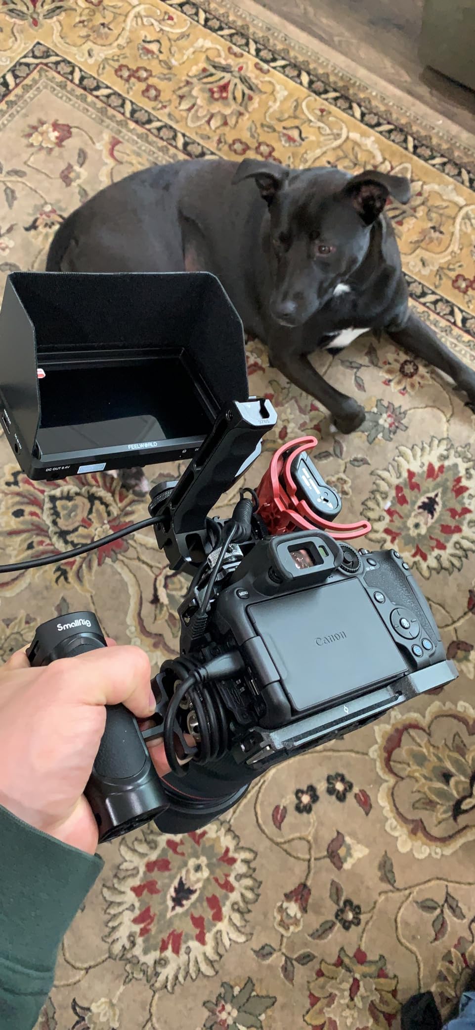 SmallRig R7 Cage for Canon R7, Aluminum Alloy R7 cage with Quick Release Plate for Arca Stand, Cold Shoe, NATO Rail and Threaded Holes, Formfitting Camera Cage Video Rig for Canon R7-4003 customer photo 2