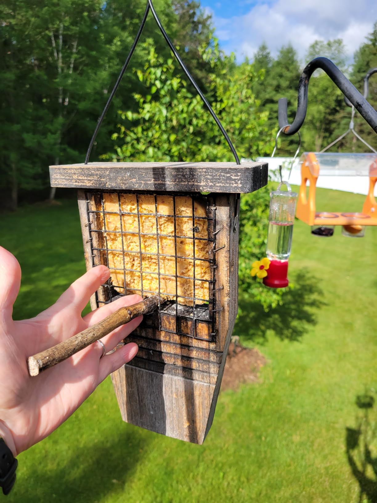 Kingsyard Suet Bird Feeder with Tail-Prop | Recycled Poly Lumber Suet feeder, Sturdy & Durable, Outside Hanging, Great for Woodpecker & Clinging Birds, Green customer photo 1