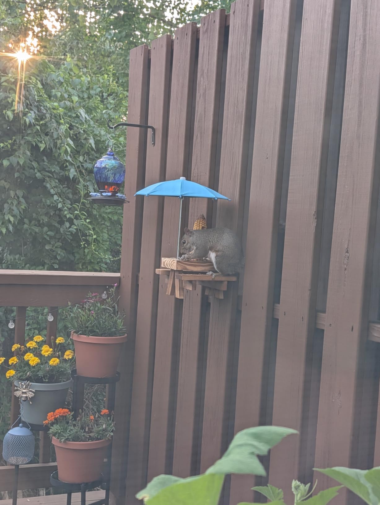 MIXXIDEA Squirrel Feeder Picnic Table with Tall Umbrella, Wooden Squirrel Feeders for Outside, Cute Chipmunk Feeder with Corn Cob Holder, Solid Structure, Thick Wood (Rustic Brown with Red Umbrella) customer photo 1