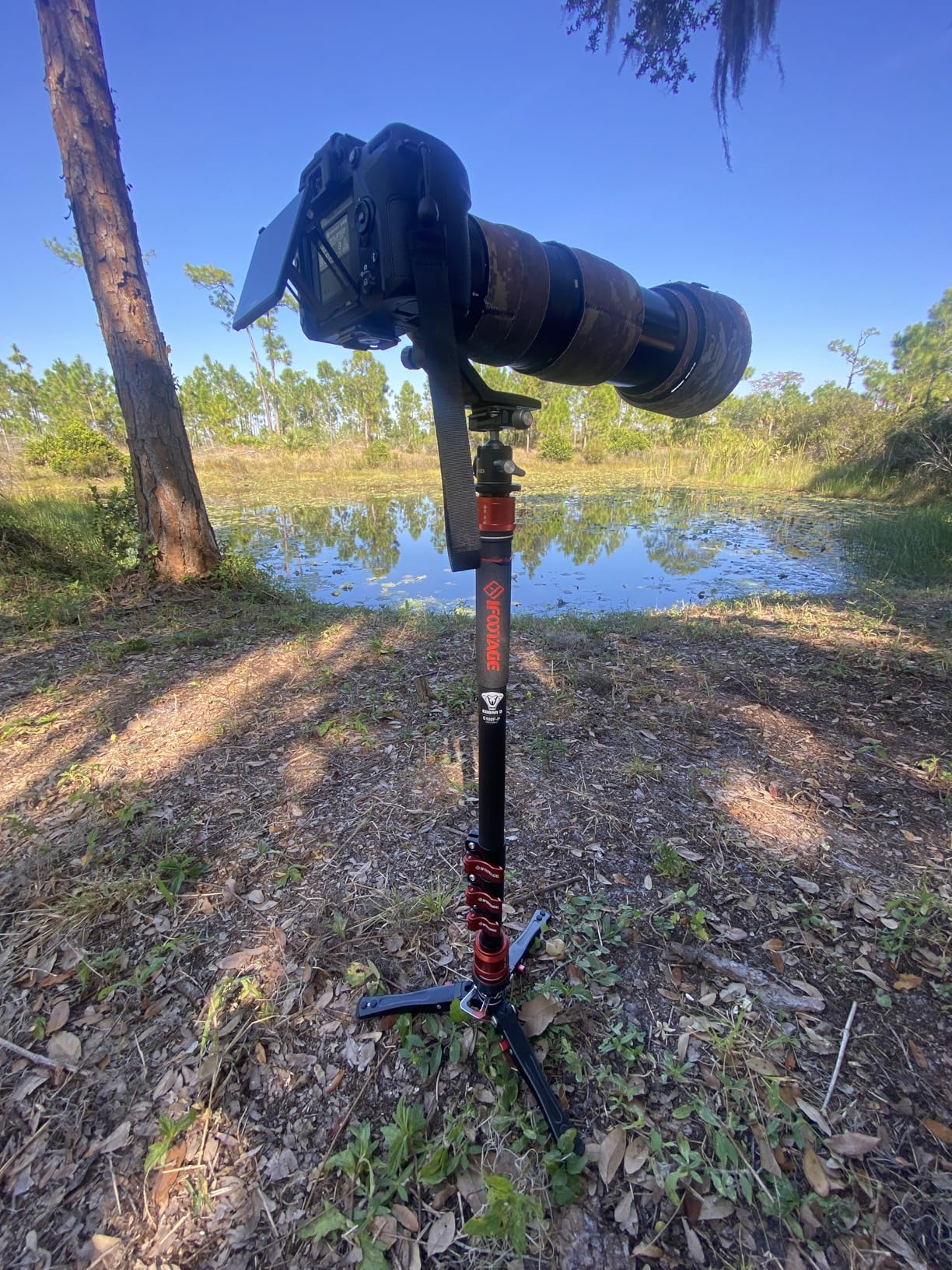 IFOOTAGE Cobra 3 C180F-P Carbon Fiber Camera Monopod 71