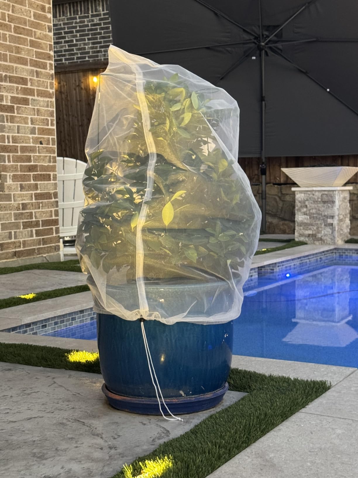 Bird Netting for Garden Protection - 4 Pack Garden Netting Pest Barrier with Drawstring, 3.3Ft x 2.7Ft Mosquito Net Tomato Protective Cover Garden Plant Netting for Cicadas Vegetables Blueberry Bushes customer photo 1
