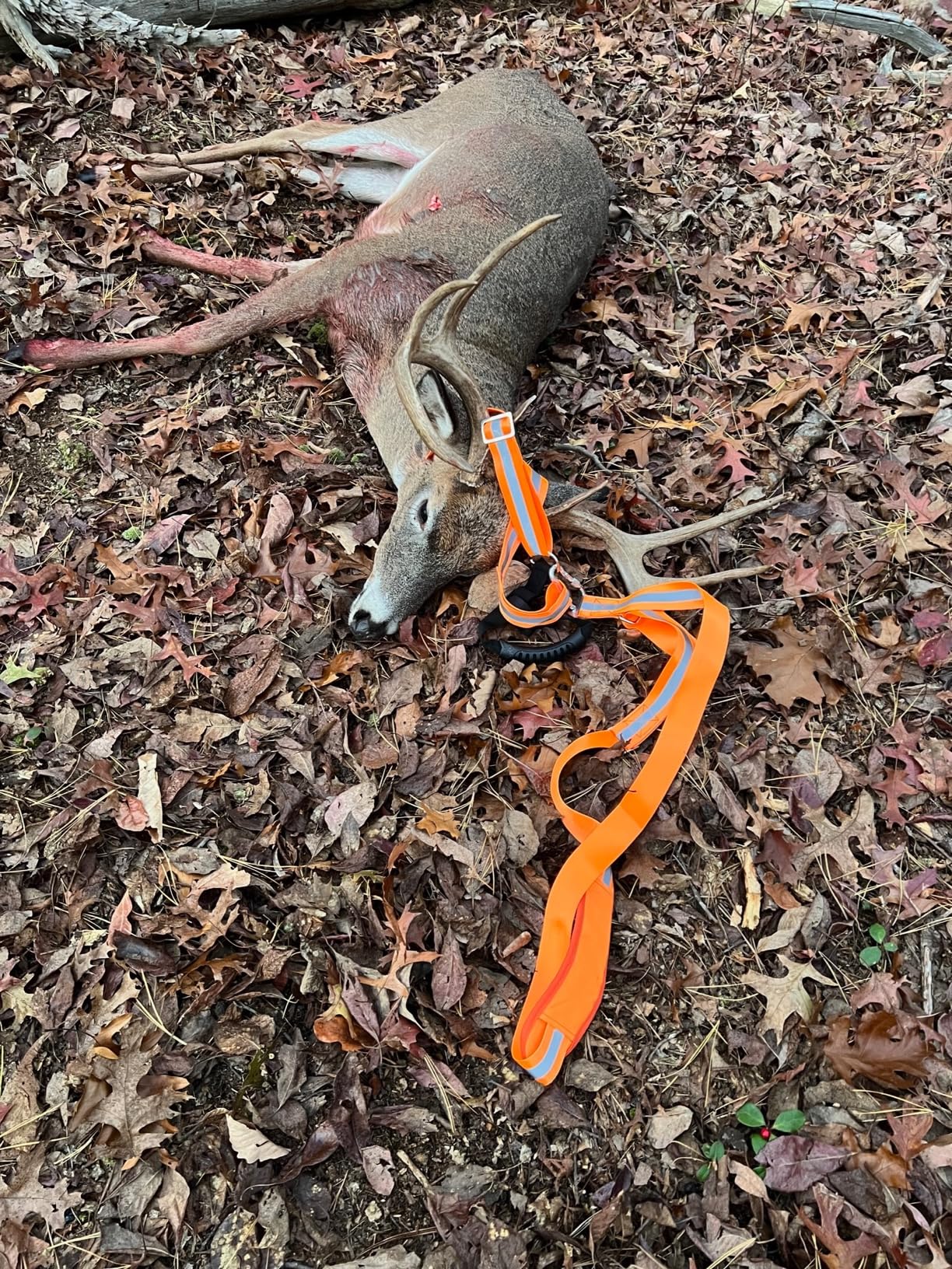Deer Drag Strap and Harness Heavy Duty customer photo 1