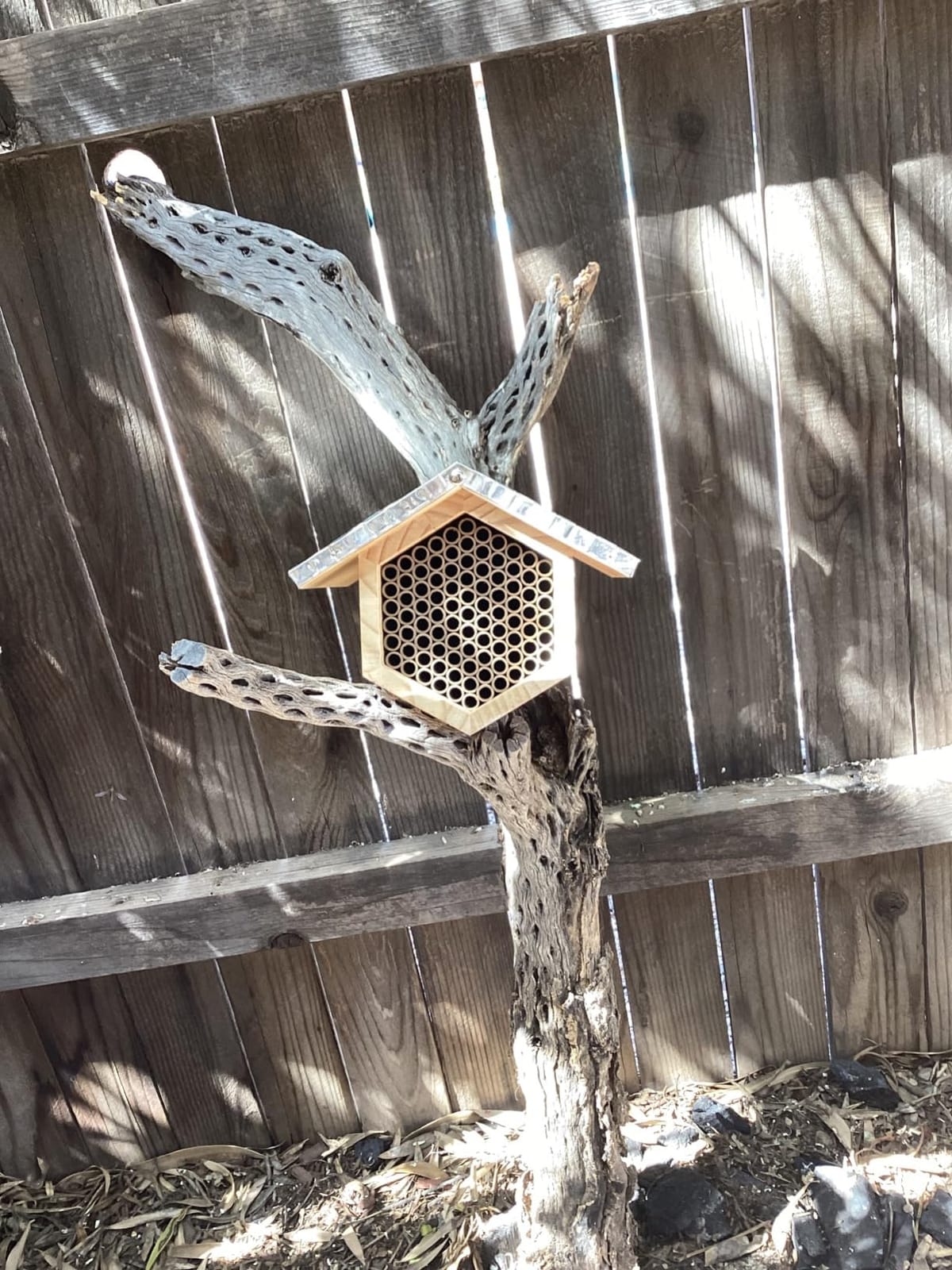 Rivajam Beekeeper Pro Mach II Mason Bee House - Strong + Waterproof Bee Hotel & Insect Habitat - Replaceable Mason Bee Tubes Filled Bee Houses for the Garden - Pollinator House Gardening Gifts customer photo 2