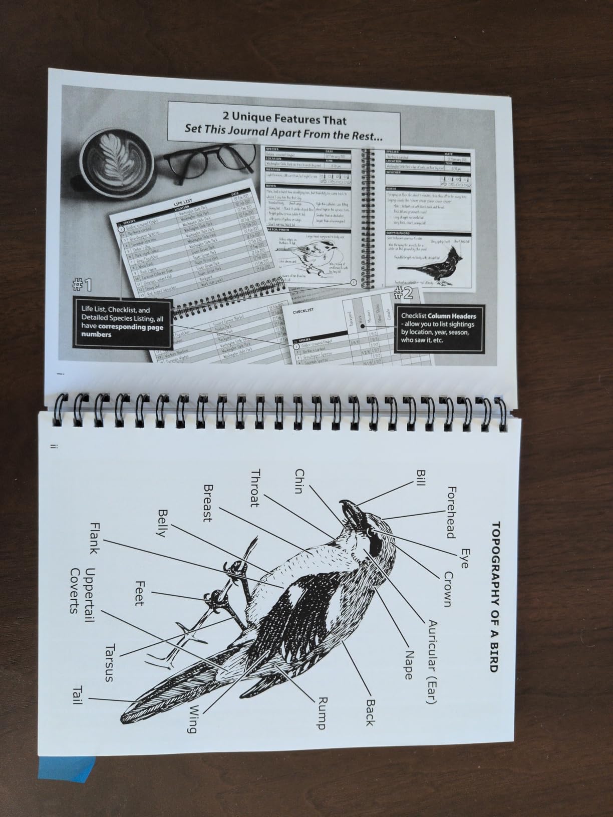 Birding Journal with Life List & Checklist A5 customer photo 2