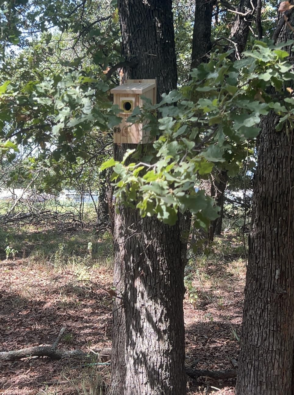 SISTERBIRD 2 Pack Bird Houses for Outside Clearance with Copper Guard, Cedar Bird House Outdoor, Bluebird Finch Swallow Wren Chickadee Assembly Required customer photo 1