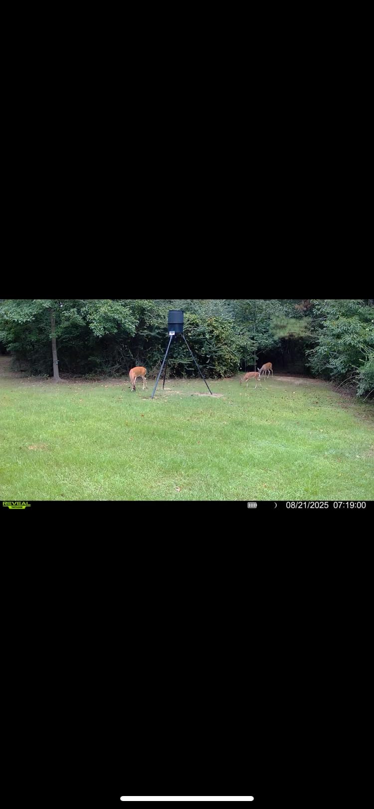 Tactacam Reveal X 3.0 Cellular Trail Camera - Auto Connect 4G LTE, 4K Photo, 1080p Video, Low-Glow IR Flash, No SD Card Needed, Long Battery Life, Best Hunting & Property Camera customer photo 1