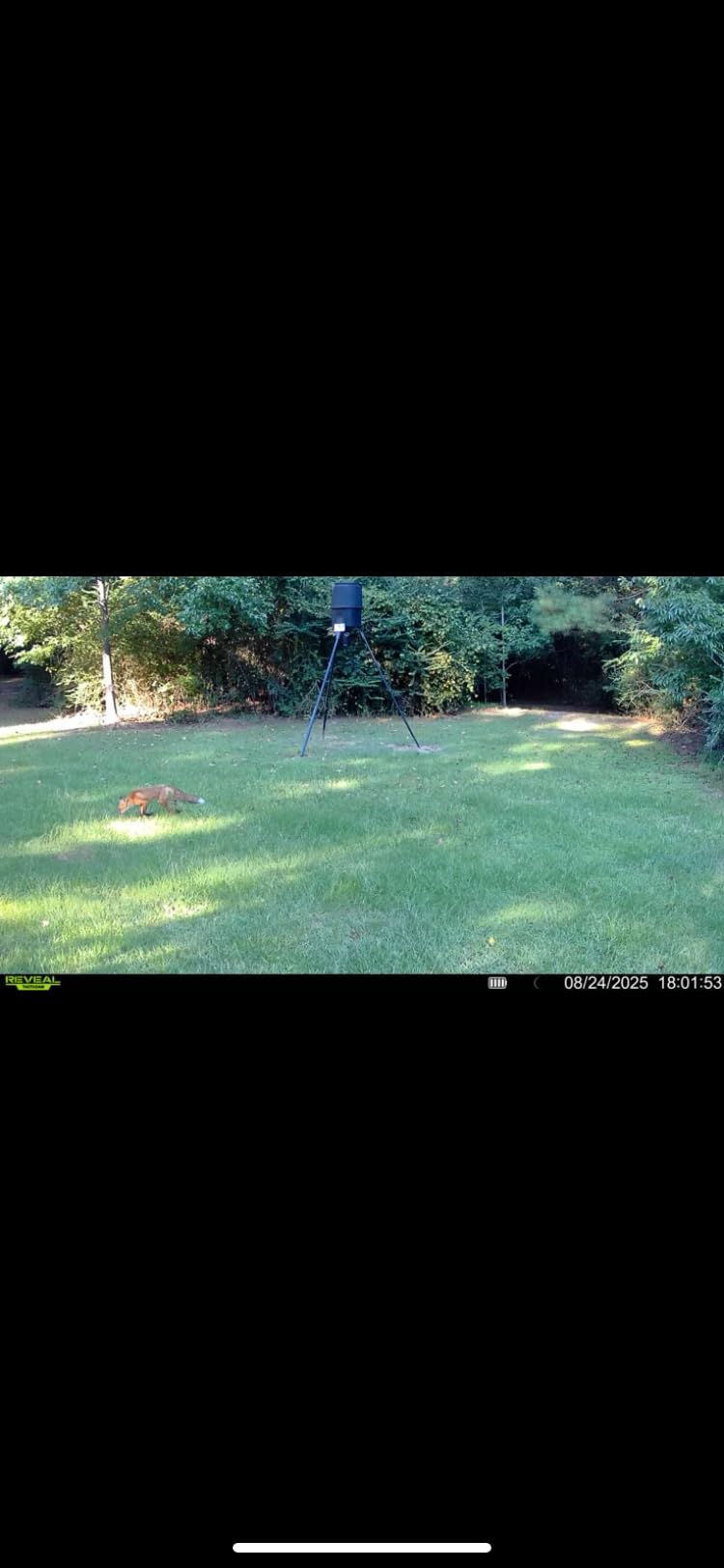 Tactacam Reveal X 3.0 Cellular Trail Camera - Auto Connect 4G LTE, 4K Photo, 1080p Video, Low-Glow IR Flash, No SD Card Needed, Long Battery Life, Best Hunting & Property Camera customer photo 2