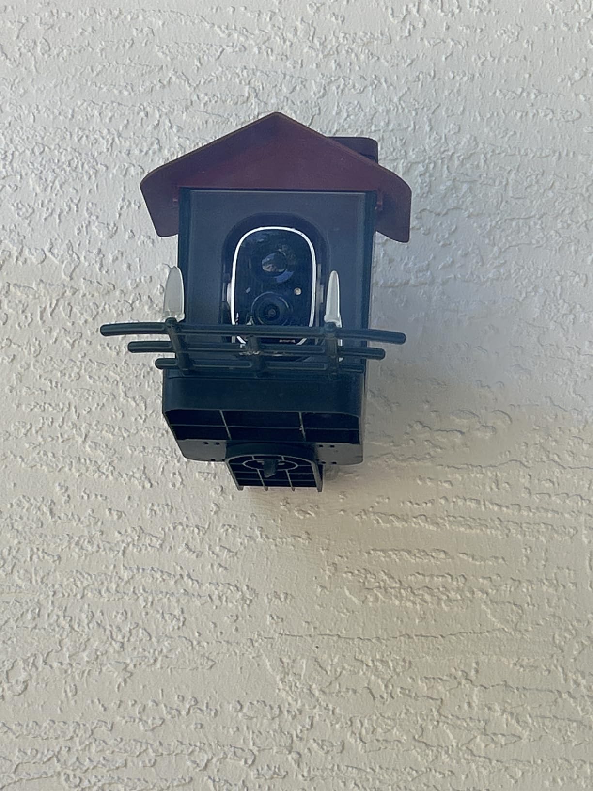 Smart Bird Feeder with Camera Outdoor: Solar Birdfeeder Cam for Outside Garden - 2K HD Live Video Camera AI Recognition Visible Window Auto Capture - Bird Lover Gifts customer photo 1