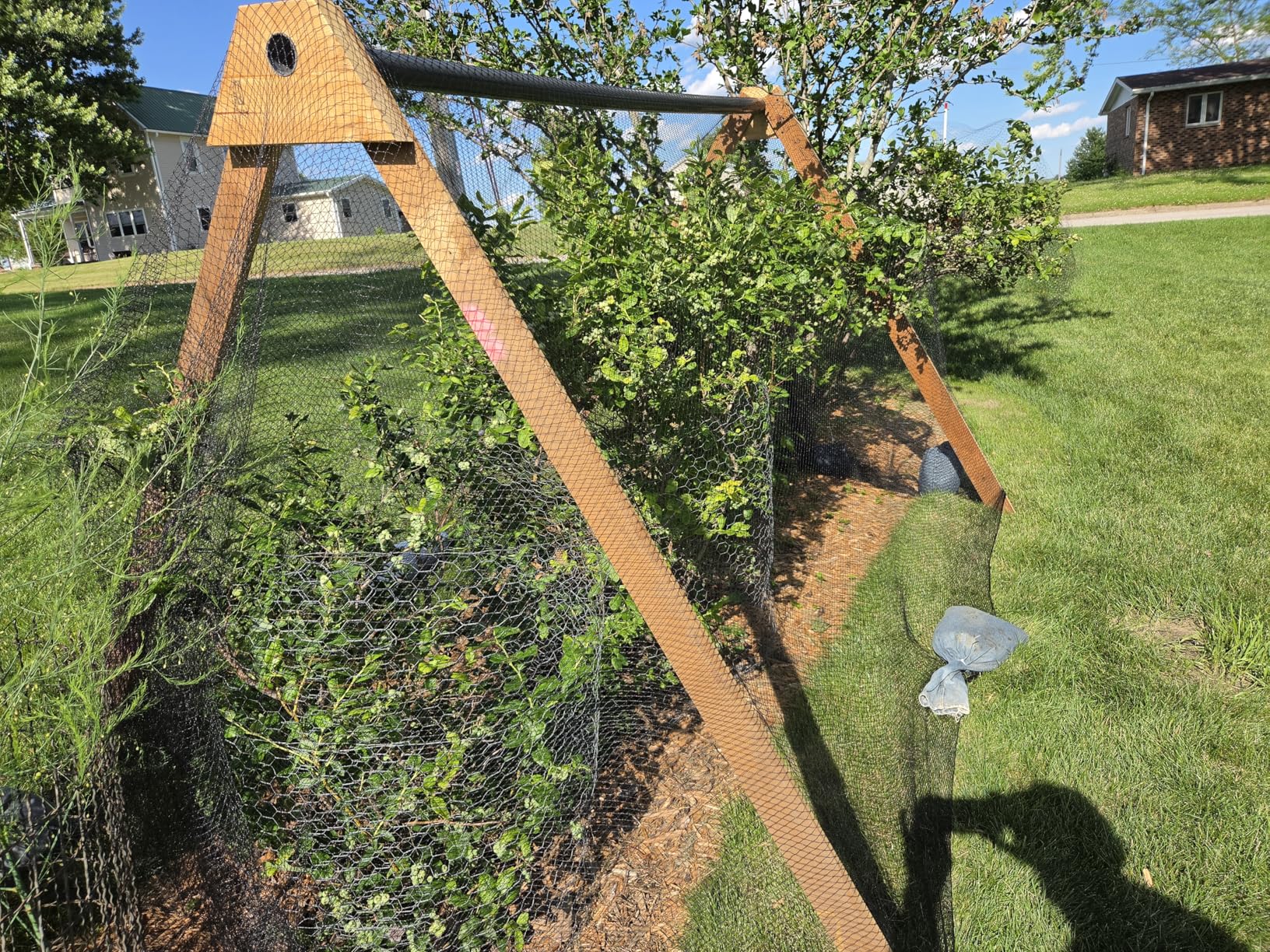 Bird Netting 25x100 Ft, 1 in Mesh Heavy Duty Garden Netting | Extra Strong Woven Mesh Netting Pest Barrier for Plants, Fruit Trees, Vegetables, Animal Fencing Against Birds, Deer, Poultry customer photo 2