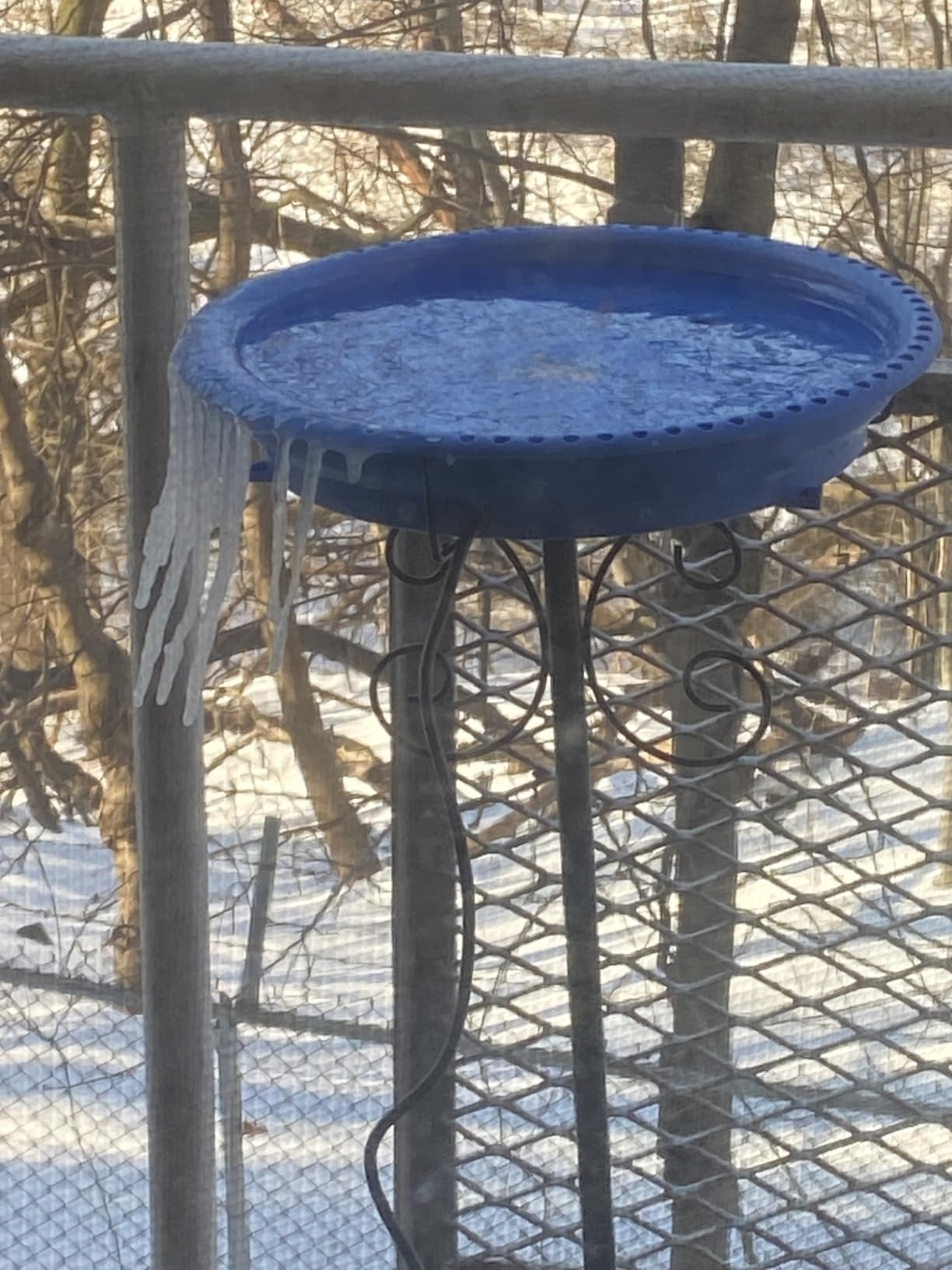 Daoeny Heated Bird Baths for Outdoors, Upgraded 100W Thermostatically Controlled Heated Bird Bath with 5-Prong Metal Base, Heated Bird Bath for Outside Winter Garden Patio Yard Lawn(Green) customer photo 1