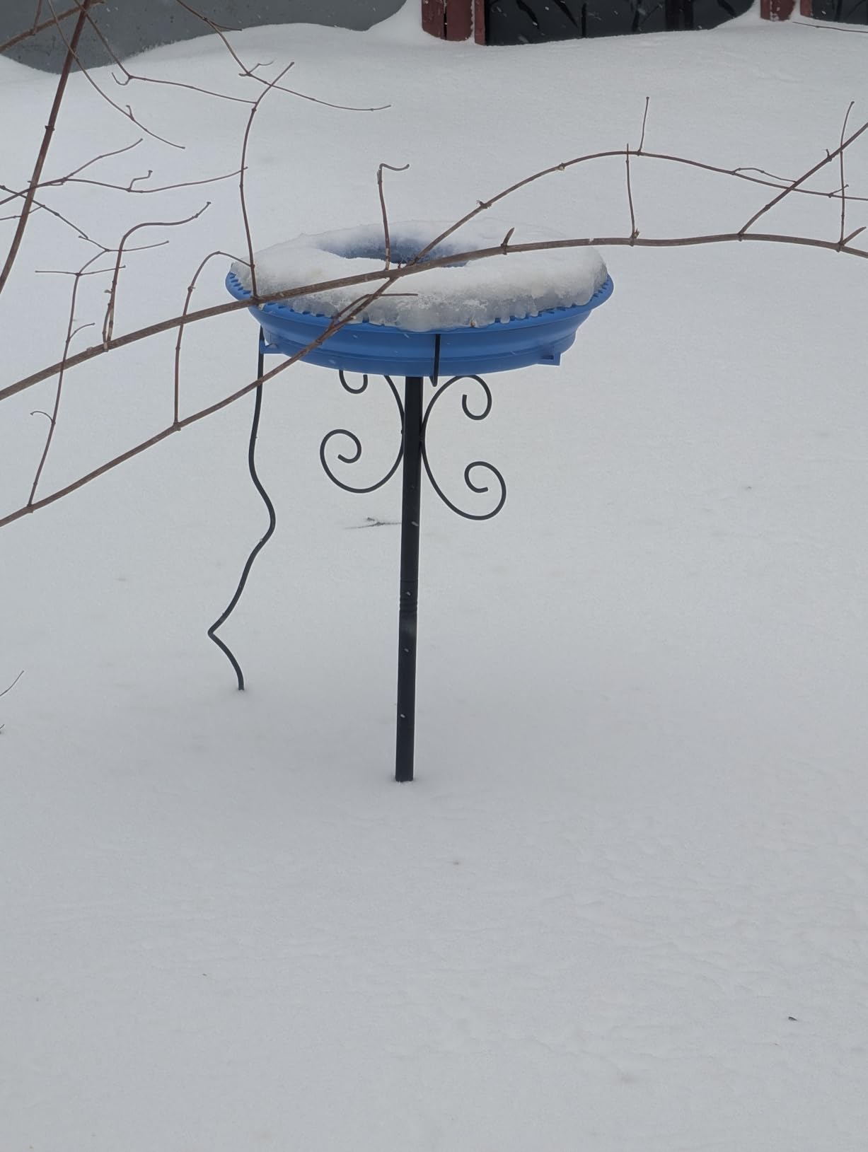 Daoeny Heated Bird Baths for Outdoors, Upgraded 100W Thermostatically Controlled Heated Bird Bath with 5-Prong Metal Base, Heated Bird Bath for Outside Winter Garden Patio Yard Lawn(Green) customer photo 2