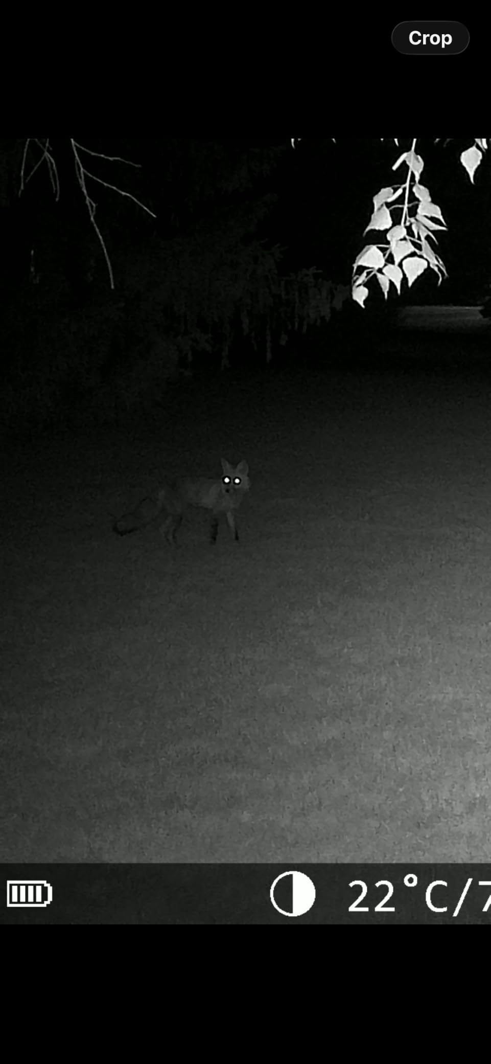MAXDONE Solar Trail Camera WiFi Bluetooth, 4K 64MP Night Vision Game Camera customer photo 2