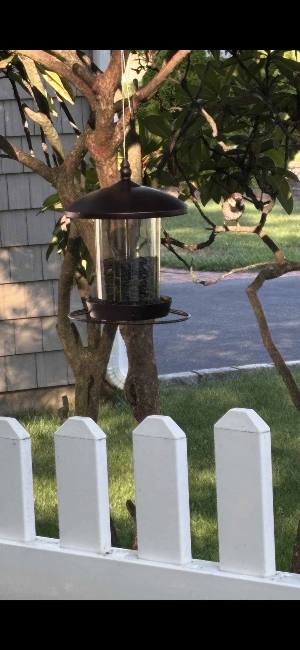 Youvip Metal Roof Bird Feeder - Chew Proof for Outdoor Hanging Wild Bird Seeds. Bronze customer photo 2