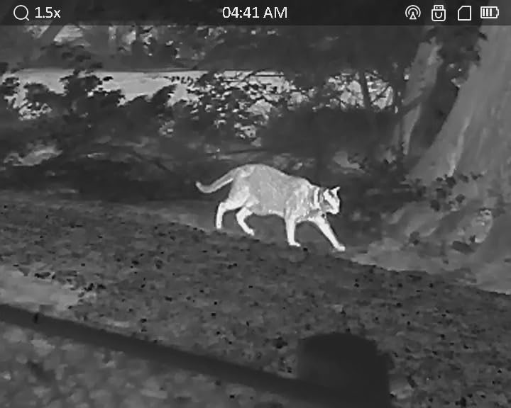 Taipan V2 Thermal Imaging Monocular High-Sensitivity customer photo 1