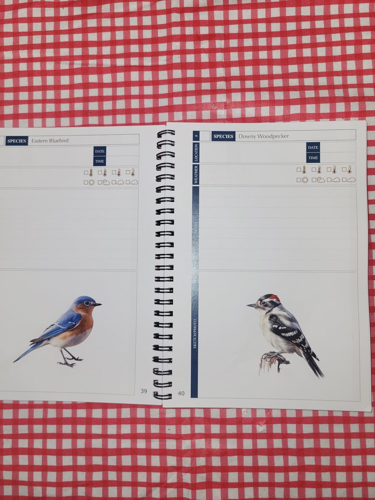 Bird Watching Journal with Life List & Checklist - Improve Your Observation Skills With This Birding Log Book With Illustrations of North America's Most Common Birds customer photo 1