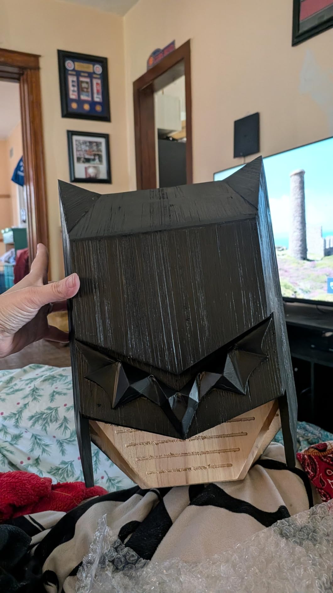 Caped Hero Bat House for Outdoors - Wooden Large Three Chamber Box Perfectly Designed to Attract Bats, Weather-Resistant (Black, 3 Chamber) customer photo 1