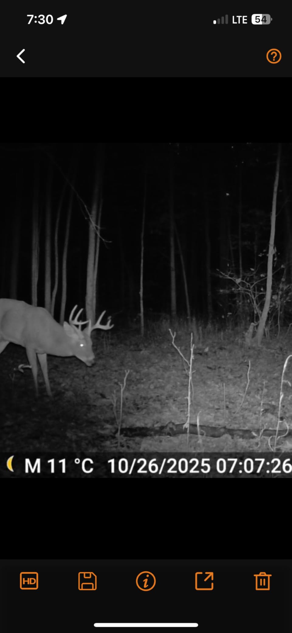 GardePro X50S Cellular Trail Camera + SP350 Solar Panel, Preloaded SIM, Compatible with Verizon, AT&T & T-Mobile, Full Video Preview, 0.1s Trigger, No-Glow IR Night Vision customer photo 2