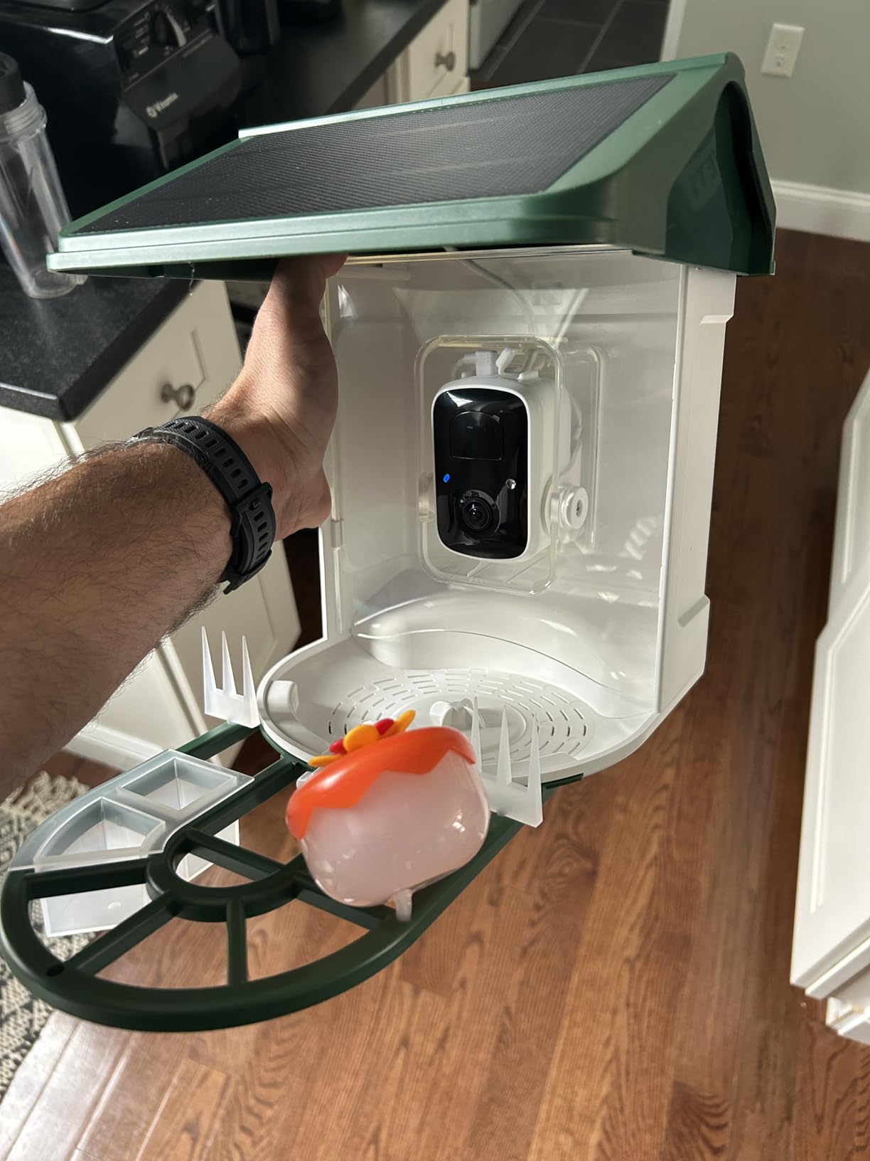 HARYMOR Bird Feeder with Camera, 2K Live Video, AI Identify Bird Species | Solar-Powered, Auto-Captured Video, Instant Arrival Alerts, Night Vision, 2L Smart Bird Feeder, Outdoor Bird Watching Gifts customer photo 2