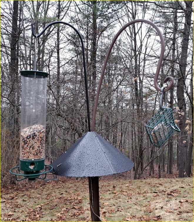 19 Inch Metal Squirrel Baffle for Bird Feeder Pole | Outdoor Squirrel Proof Bird Feeders, Bird House Guard for Shepherd's Hook, Rust Chew Proof Heavy Duty customer photo 2