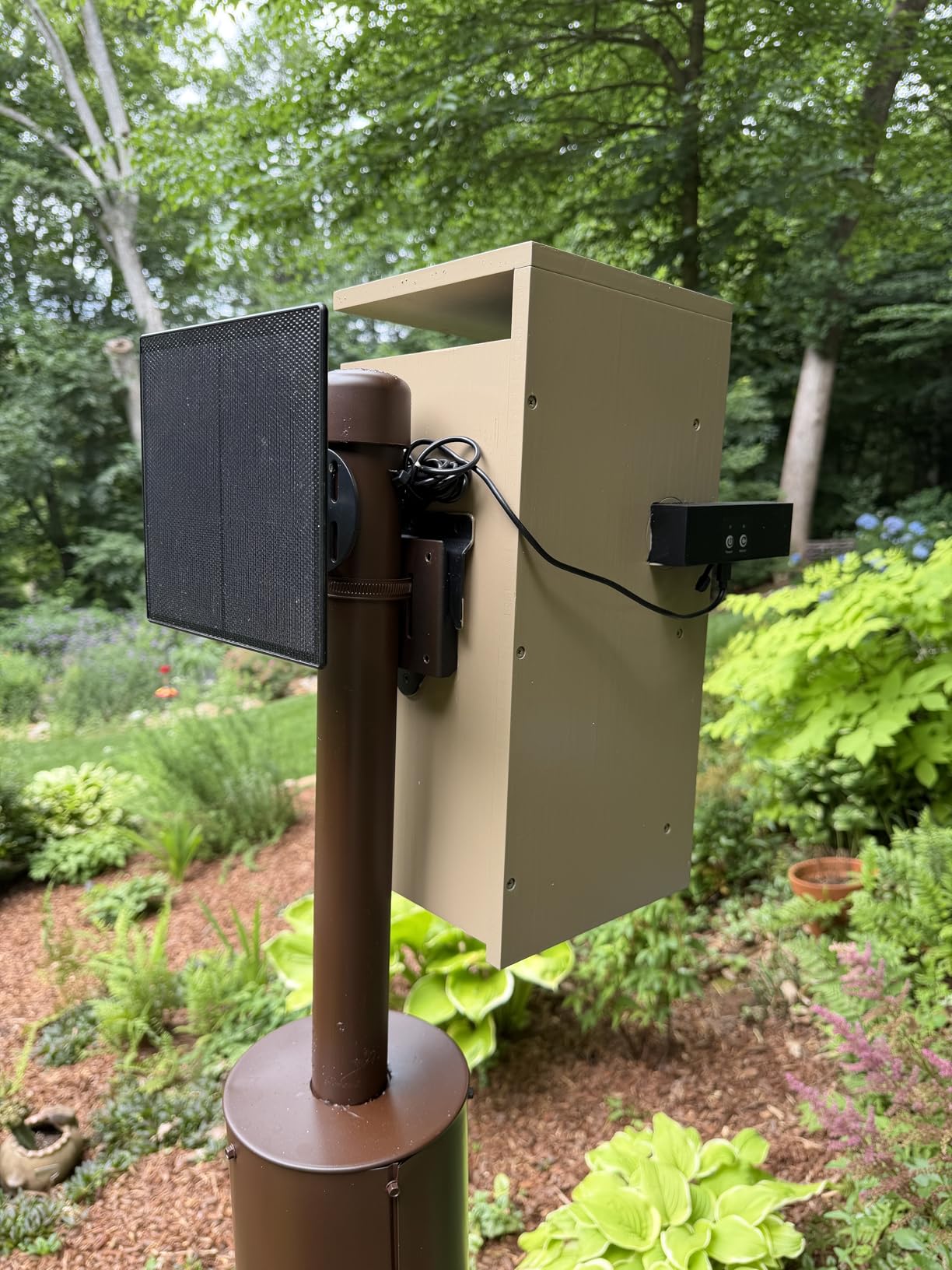 Smart Bird House with Dual 1080P Cameras, Lifetime Free AI Bird ID | Solar Powered, Remote Control, Bamboo Bird Nest for Garden & Bird Lovers, Watch Robin Nesting Story in Realtime, DIY Gift customer photo 2
