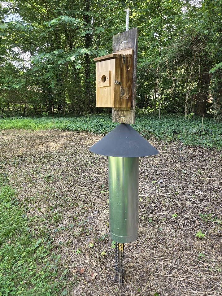 KinetCam Bird House with Camera Solar Powered, Isolated Camera Bay, Cedar | 2K HD, Night Vision, Auto Detect, App Control, Wi-Fi Bird Watching for Outside Nesting, Bluebird House with Camera customer photo 2