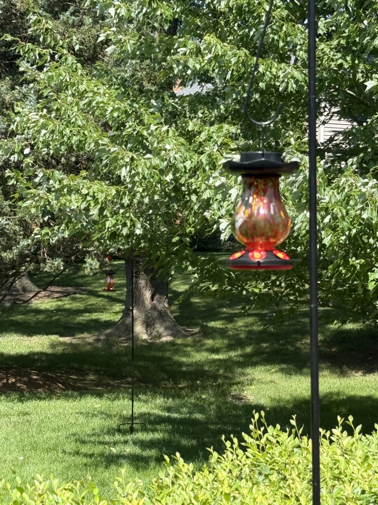 DesGully Solar Hummingbird Feeder for Outdoor - 25 fl.oz Hand Blown Glass Hummingbird Feeders for Outdoors Hanging, Large Capacity with Moat, 6 Colors Changing Light Outside Garden Decor (Red) customer photo 2