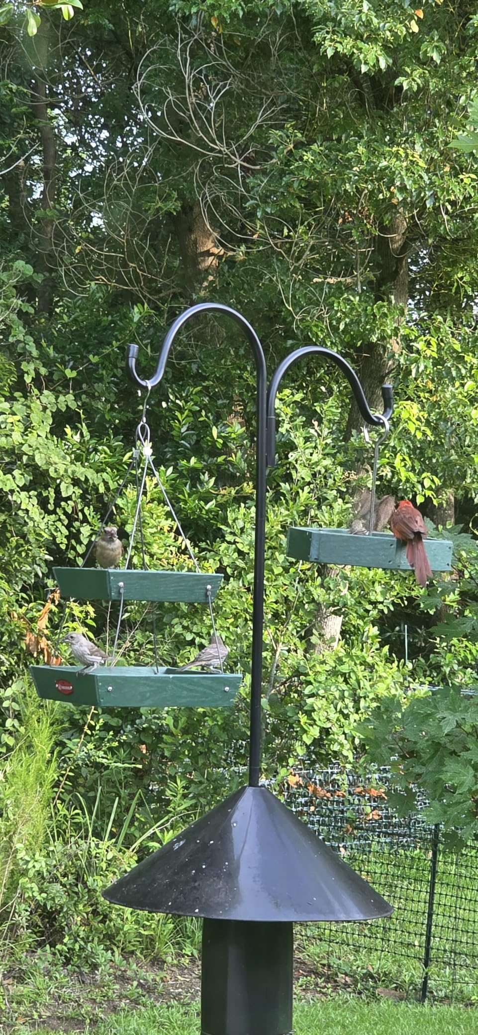 Kingsyard 2 Tier Large Platform Bird Feeders for Outdoors Hanging, 5 lbs Capacity Recycled Plastic Flat Mealworm Bird Feeder Tray, Garden Decoration Attracting Cardinal Blue Jay, Green customer photo 1