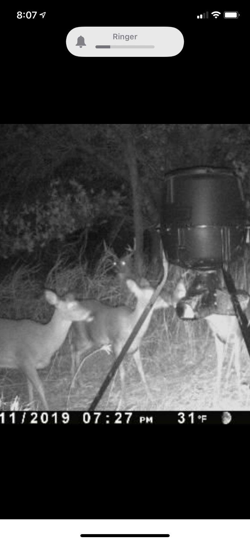 Moultrie Gravity Deer Feeder - Tripod Game Feeder - Easy Conversion Adapter - Protein Pellet Ready - Rugged No-Power Setup for Deer Management customer photo 1