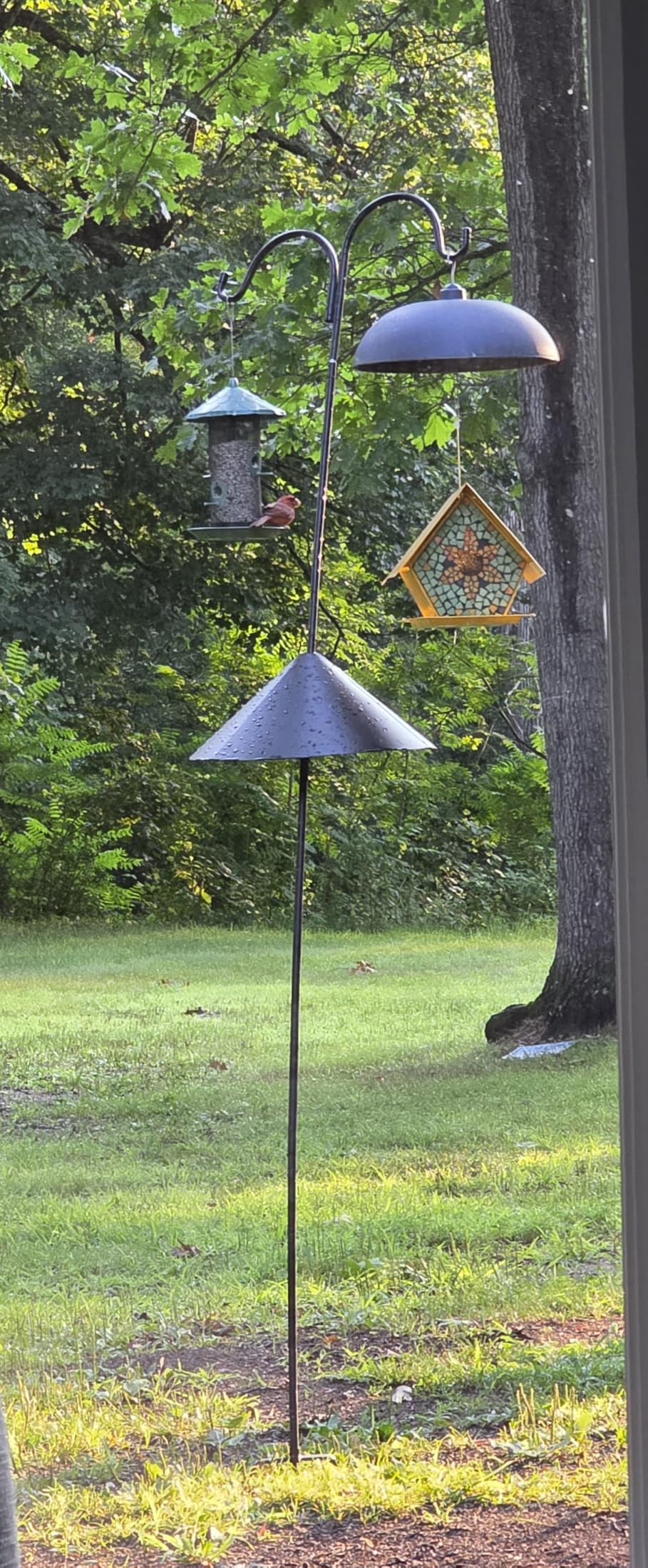 19 Inch Metal Squirrel Baffle for Bird Feeder Pole | Squirrel Proof Bird Feeders for Outdoors Hanging Cover for Rain Guard, Rust Proof Chew Proof Heavy, 1 Pack customer photo 2