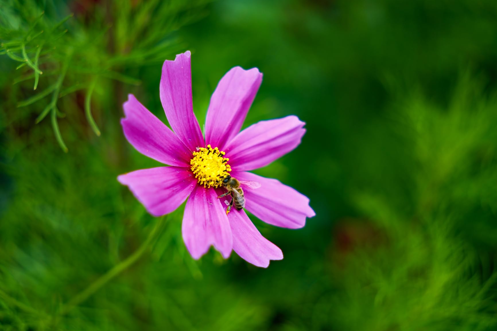 Sigma 17-40mm F1.8 DC Art for Fujifilm X Mount customer photo 2