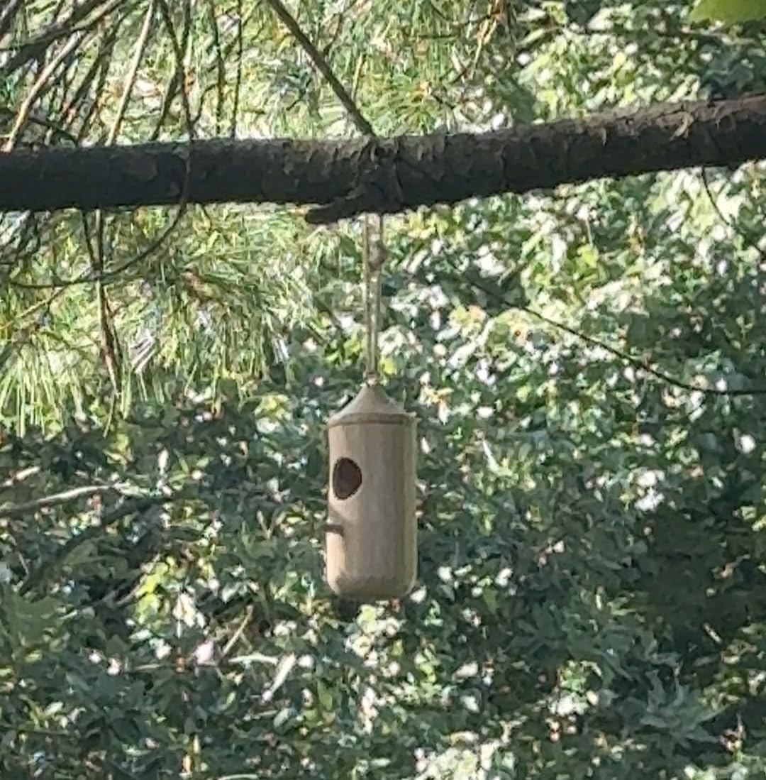 Hummingbird House - Natural Wooden Hummingbird Houses for Outside Hanging, Gardening Gifts for Women, Bird Lovers 3 Packs customer photo 1