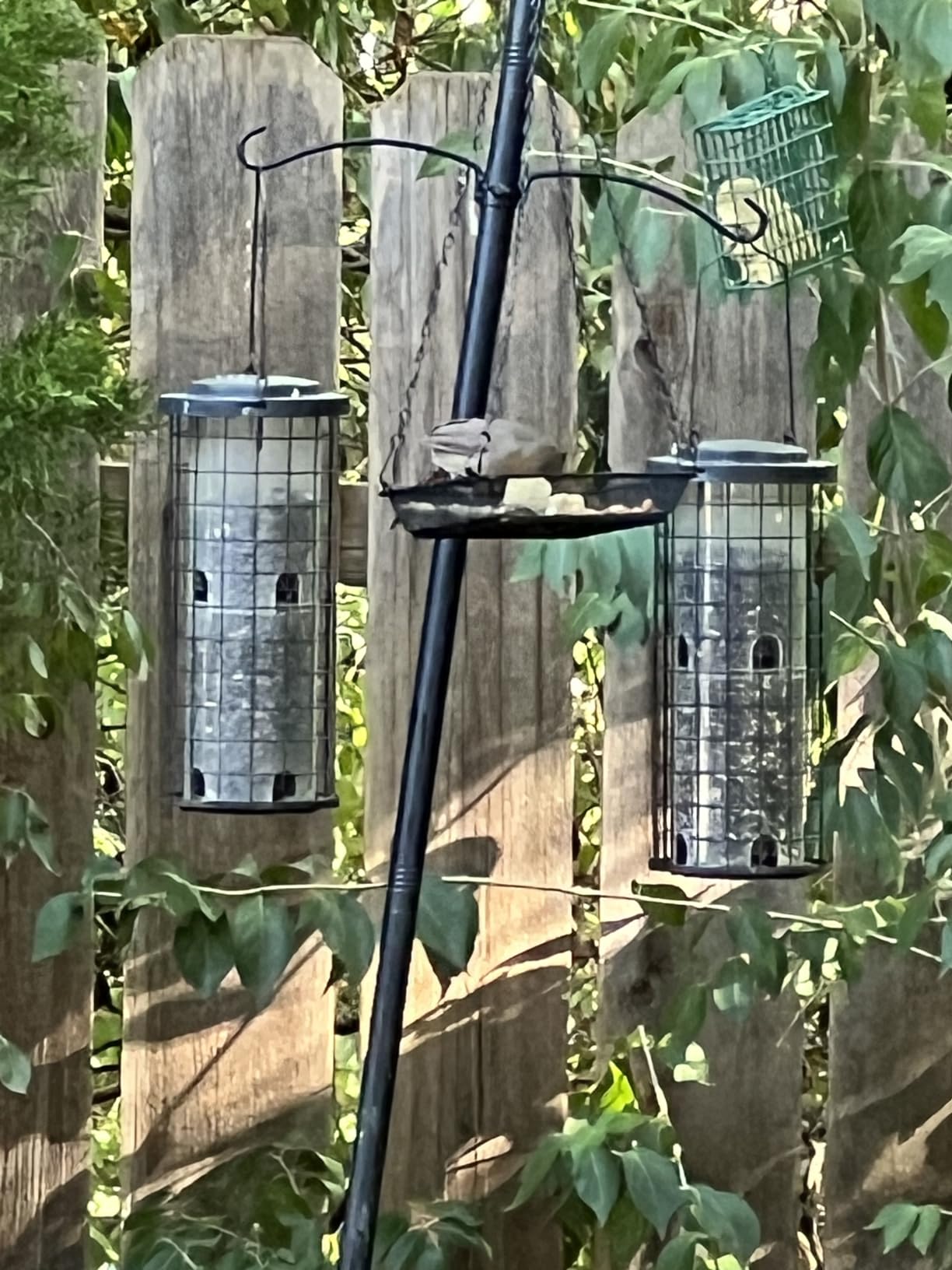 Gtongoko Platform Bird Feeder for Outdoors Hanging with 12