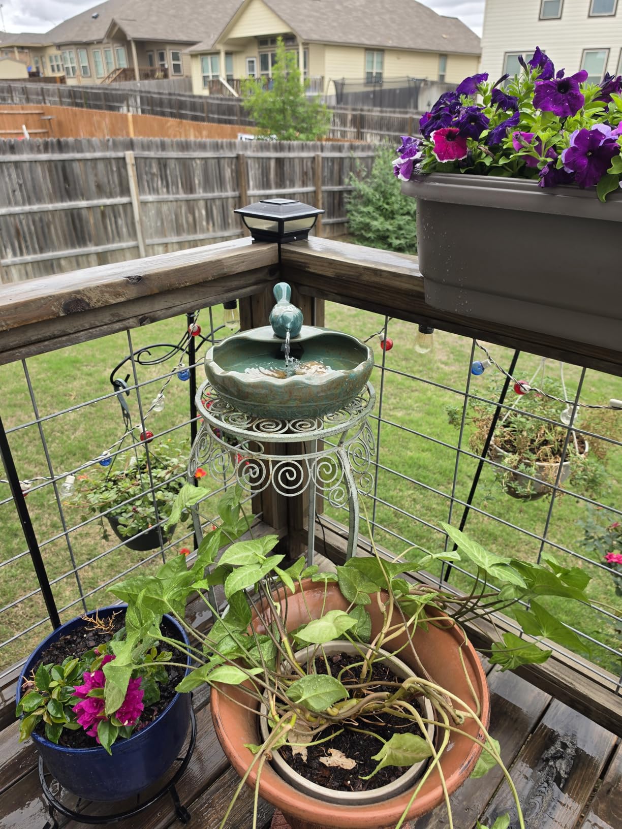 Ceramic Solar Fountain Bird Bath with Battery Backup, Solar Garden Fountain | Bird Bath Fountains Solar Power for Garden, Patio & Yard Decor, Working at Night for at Least 6 Hours (Bird) customer photo 2