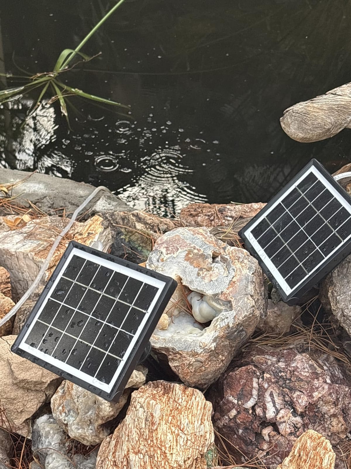 NFESOLAR 3W Solar Pond Aerator with 2200mAh Battery Backup, All-in-One Solar Air Pump, 24/7 Continuous Oxygenation, Quiet Operation, 3 Modes Bubbler, Portable for Small Ponds, Fish Tanks & Hydroponics customer photo 1