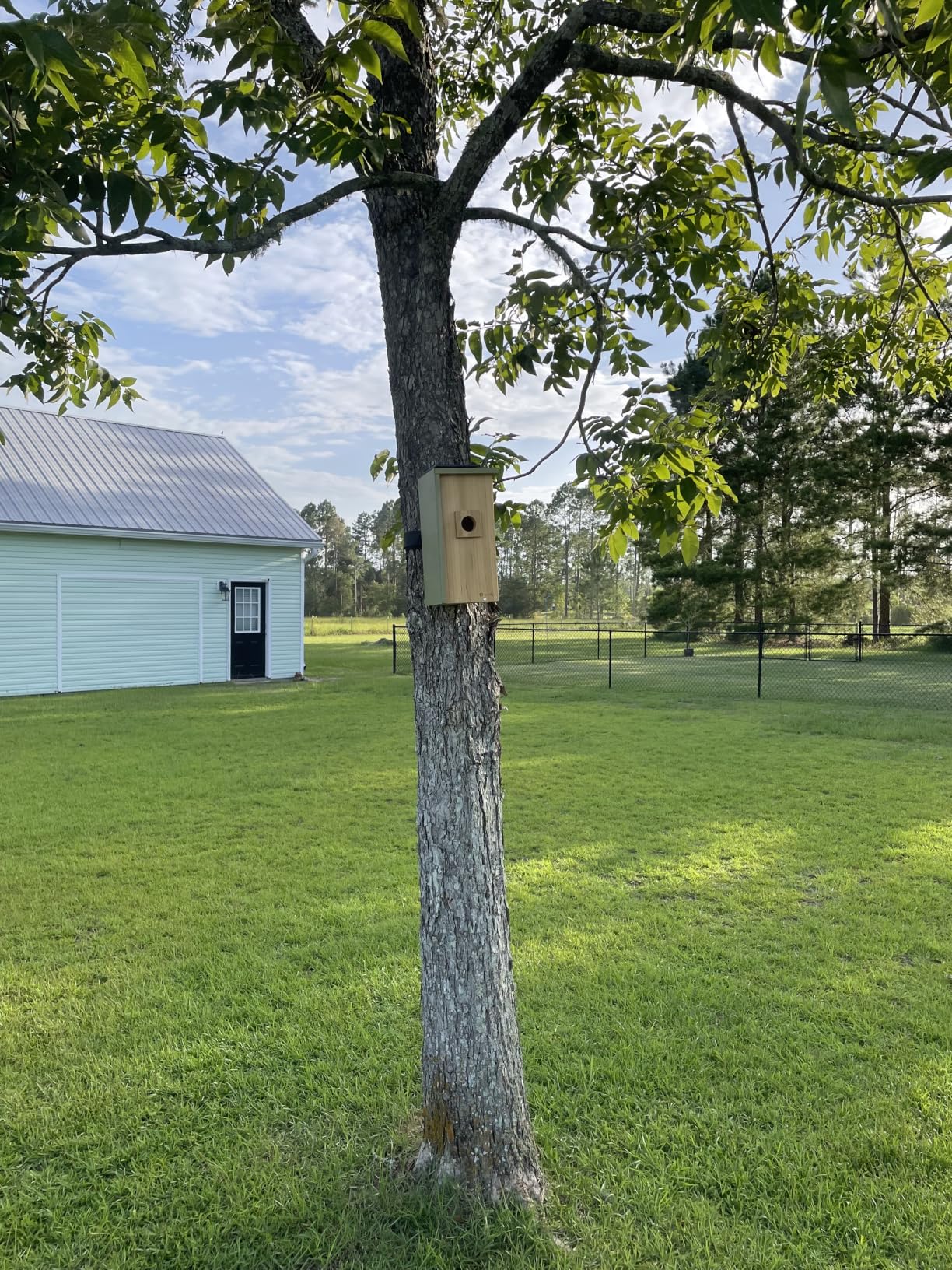 Bird House with Camera Solar Powered with Metal Cladding for Outside | Bird Box with AI Bird ID, 1080P FHD & Night Vision for Bird Nest Watching, Auto Detect & Notify, Ideal Gift for Bird Lovers customer photo 1