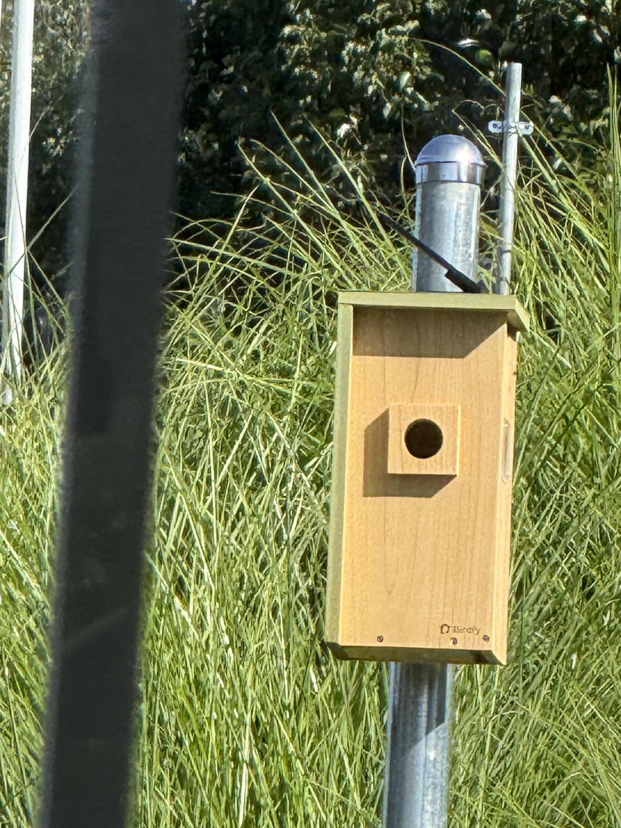Bird House with Camera Solar Powered with Metal Cladding for Outside | Bird Box with AI Bird ID, 1080P FHD & Night Vision for Bird Nest Watching, Auto Detect & Notify, Ideal Gift for Bird Lovers customer photo 2