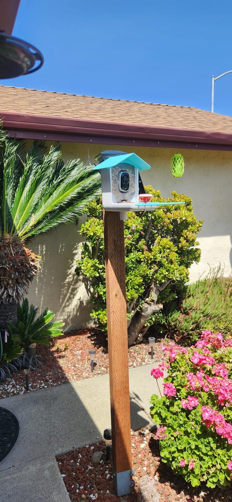 HARYMOR Smart Bird Feeder with Camera Solar Powered, 2K HD Live Video, 10,000+ Bird Species AI Identification, Wild Bird House Feeders for Outdoors, Instant Arrival Alerts, Ideal Gift for Bird Lovers customer photo 1