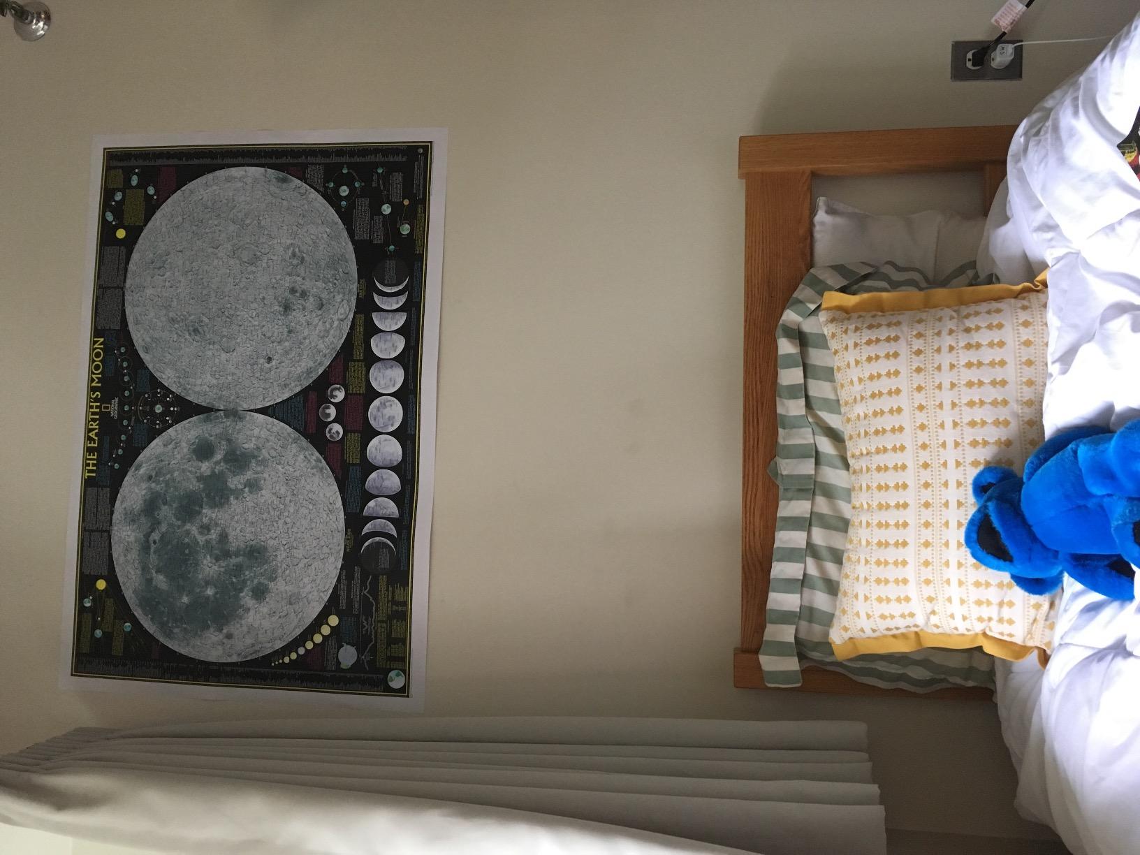 National Geographic Moon Wall Map - Laminated (42.5 x 28.5 in) customer photo 2
