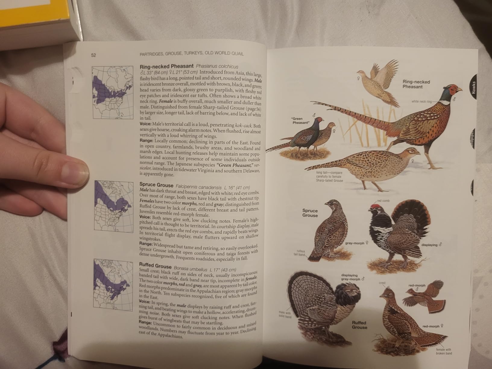 National Geographic Field Guide to the Birds of Eastern North America customer photo 2