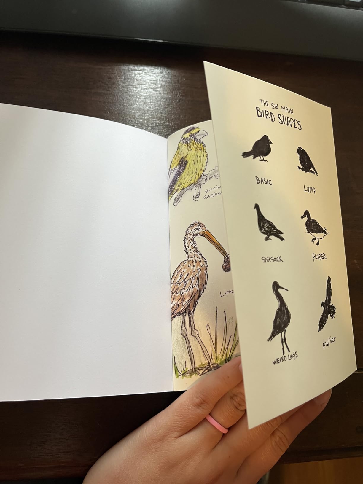 The Field Guide to Dumb Birds of North America (Bird Books, Books for Bird Lovers, Humor Books) customer photo 1