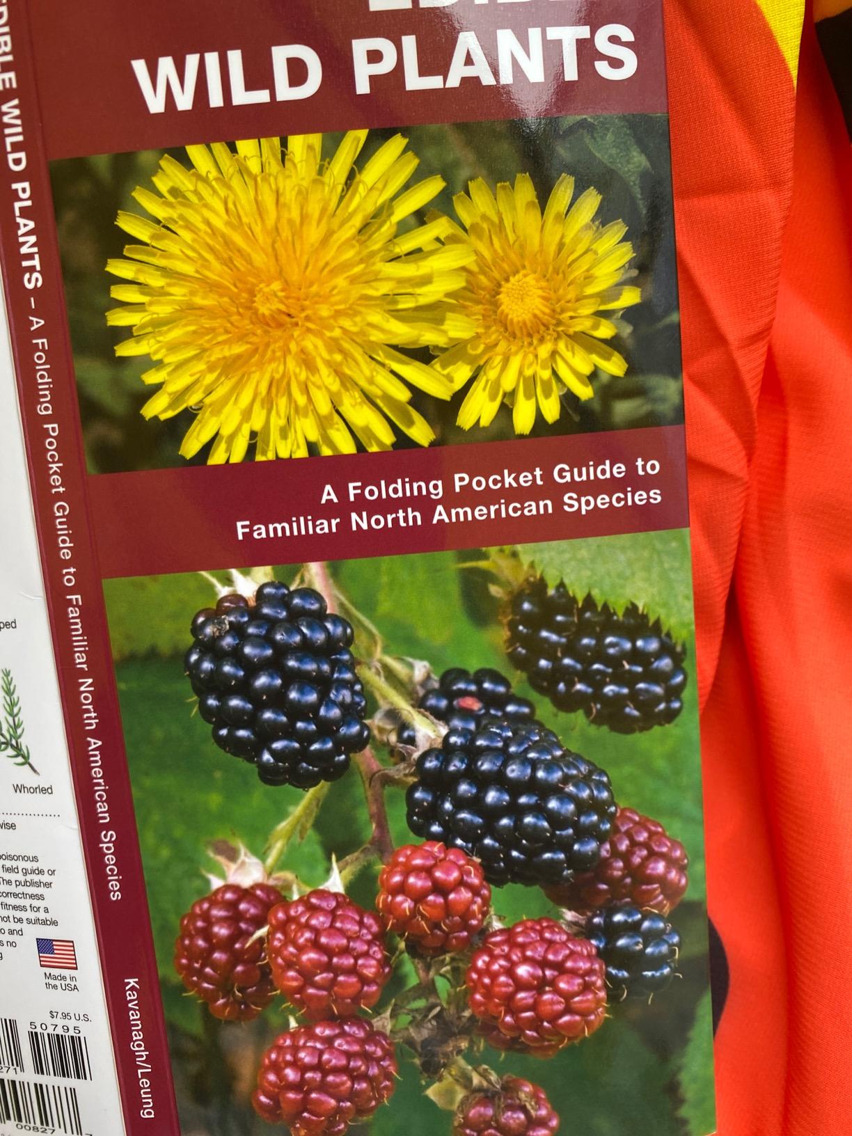 Edible Wild Plants: A Folding Pocket Guide to Familiar North American Species (Outdoor Skills and Preparedness) customer photo 1
