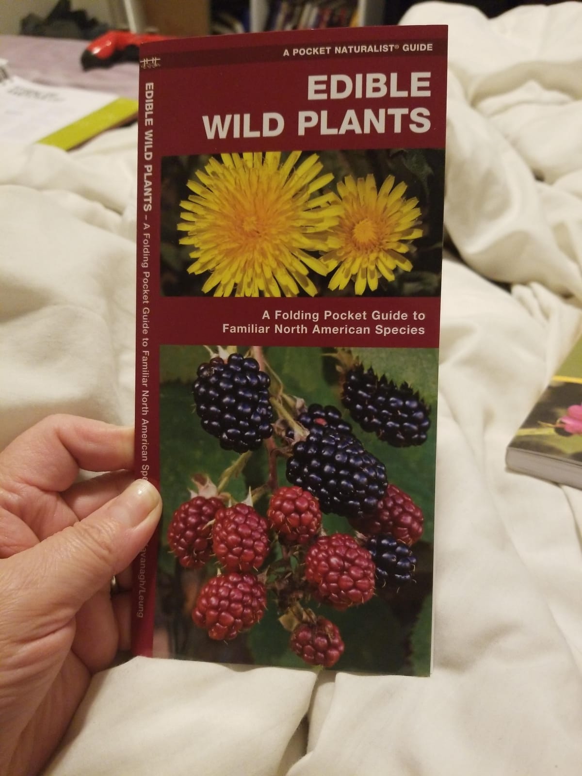 Edible Wild Plants: A Folding Pocket Guide to Familiar North American Species (Outdoor Skills and Preparedness) customer photo 2