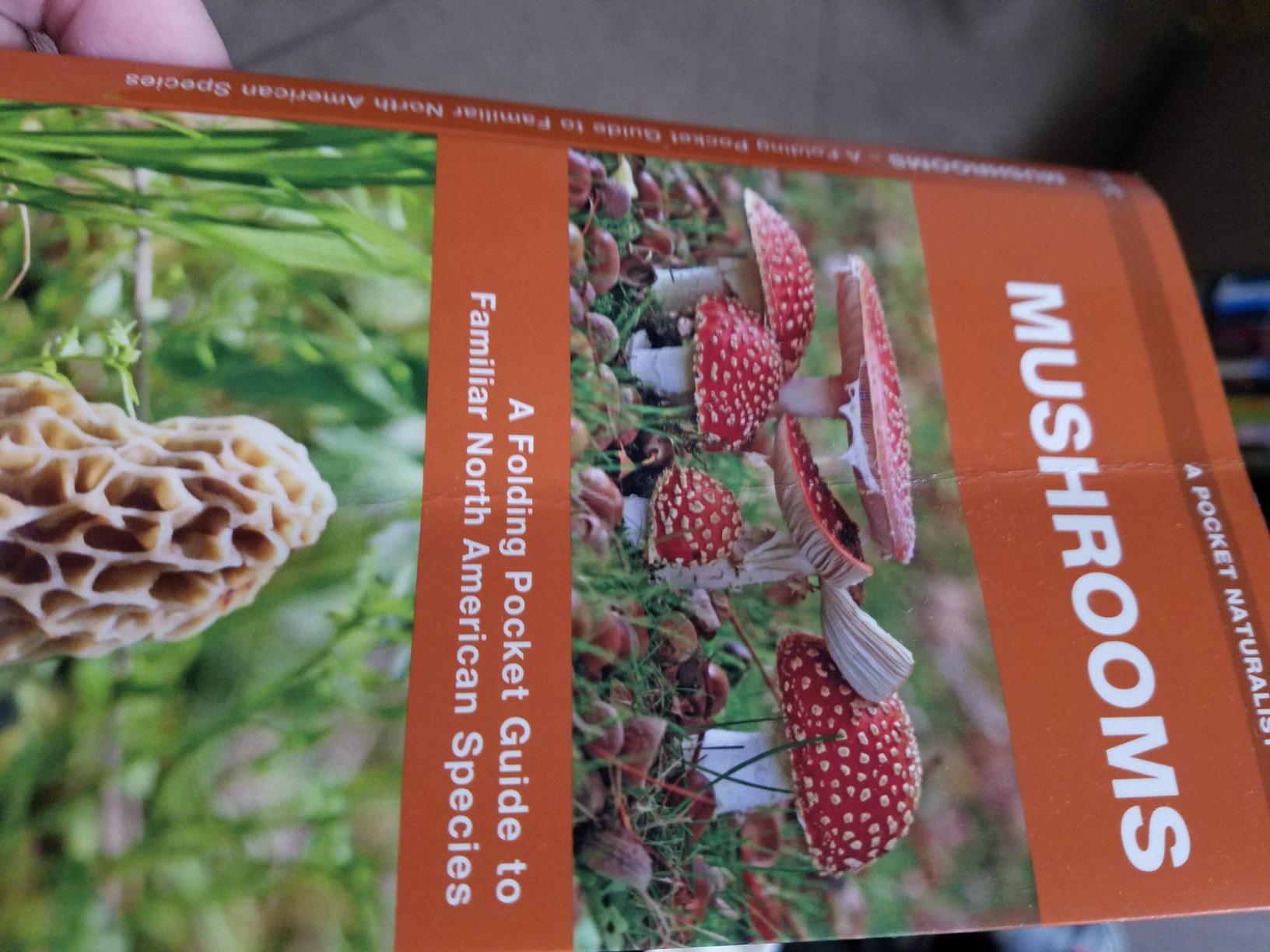 Mushrooms: A Folding Pocket Guide to Familiar North American Species (Wildlife and Nature Identification) customer photo 1