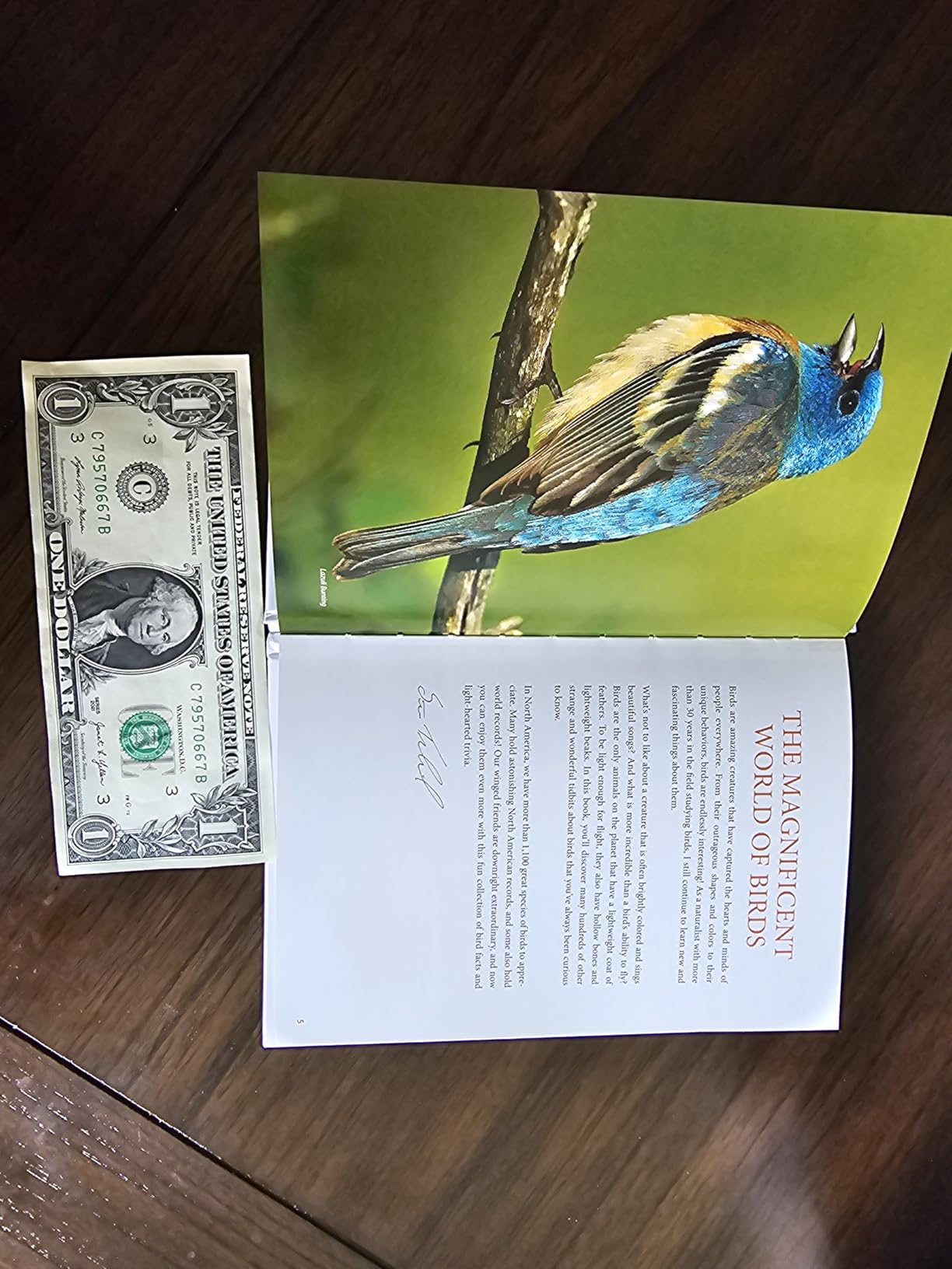 Bird Trivia: Funny, Strange and Incredible Facts about North American Birds customer photo 1
