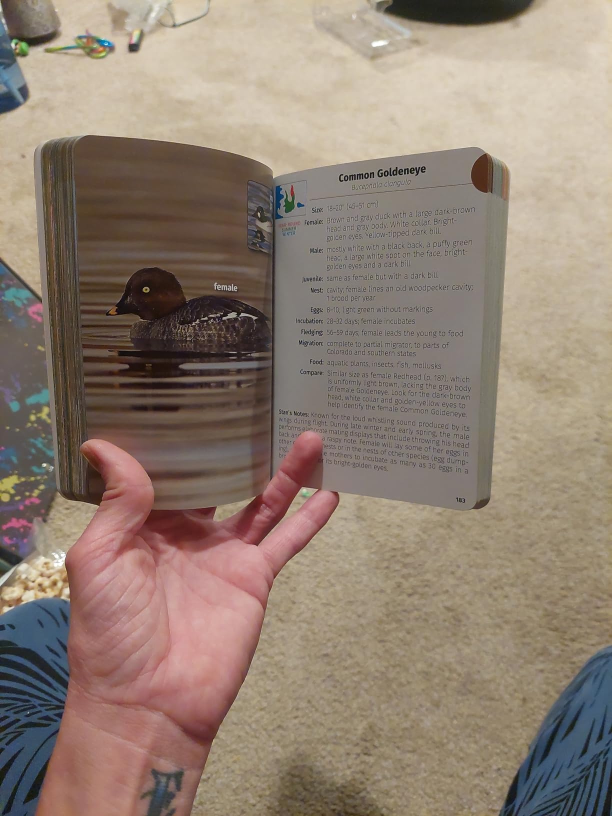 Birds of Colorado Field Guide (Bird Identification Guides) customer photo 1