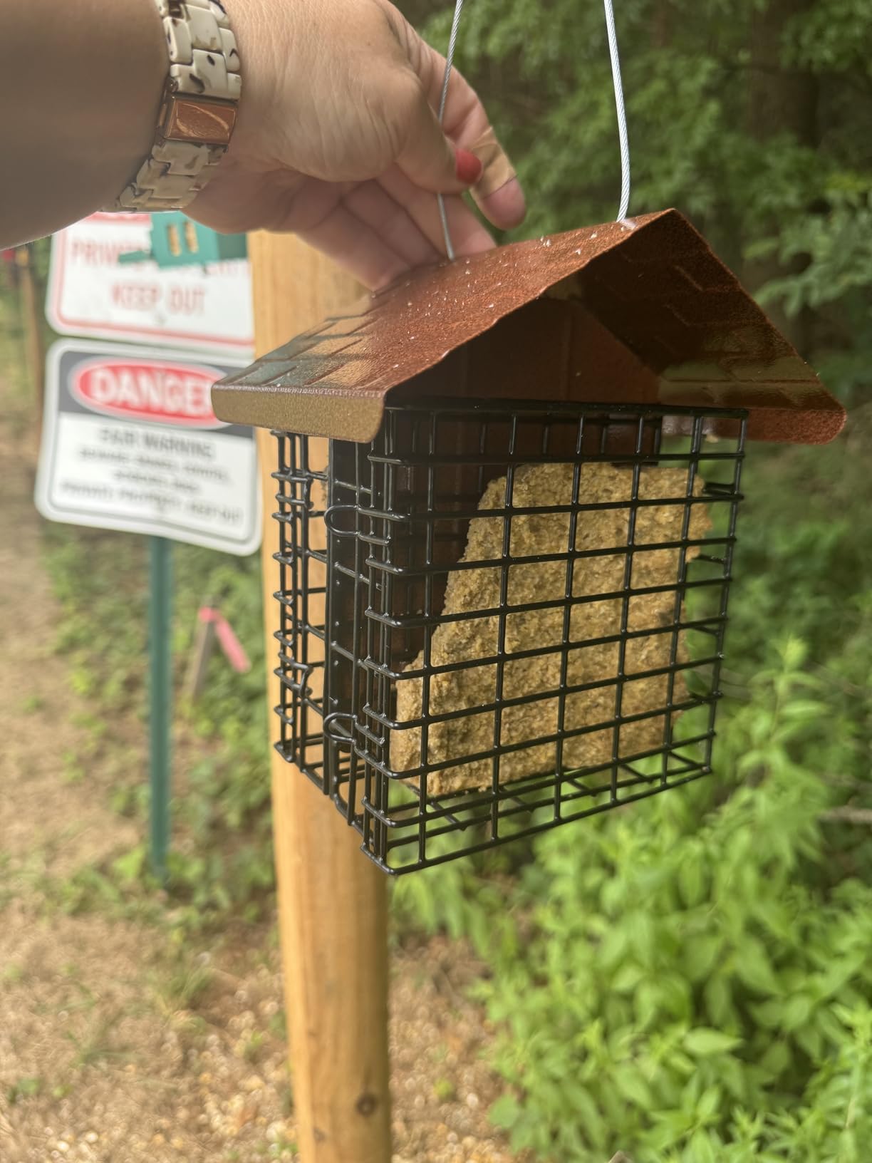 More Birds Double Suet Cake Feeder, Weather Guard, Steel Construction customer photo 2